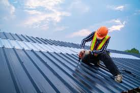 Best Roof Maintenance and Cleaning  in Lucas, TX